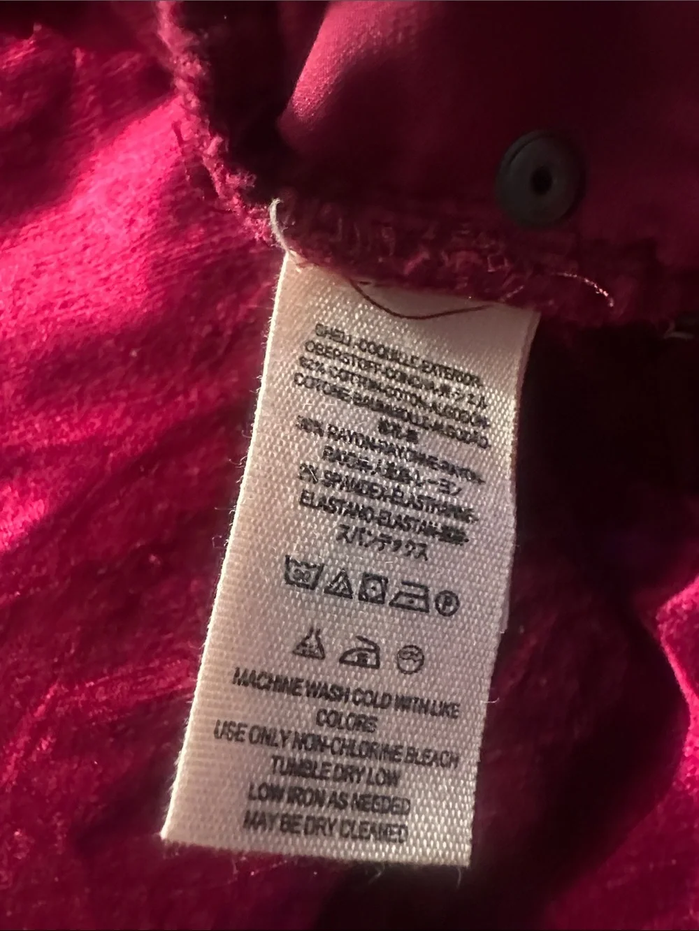 Free People Velvet Pants